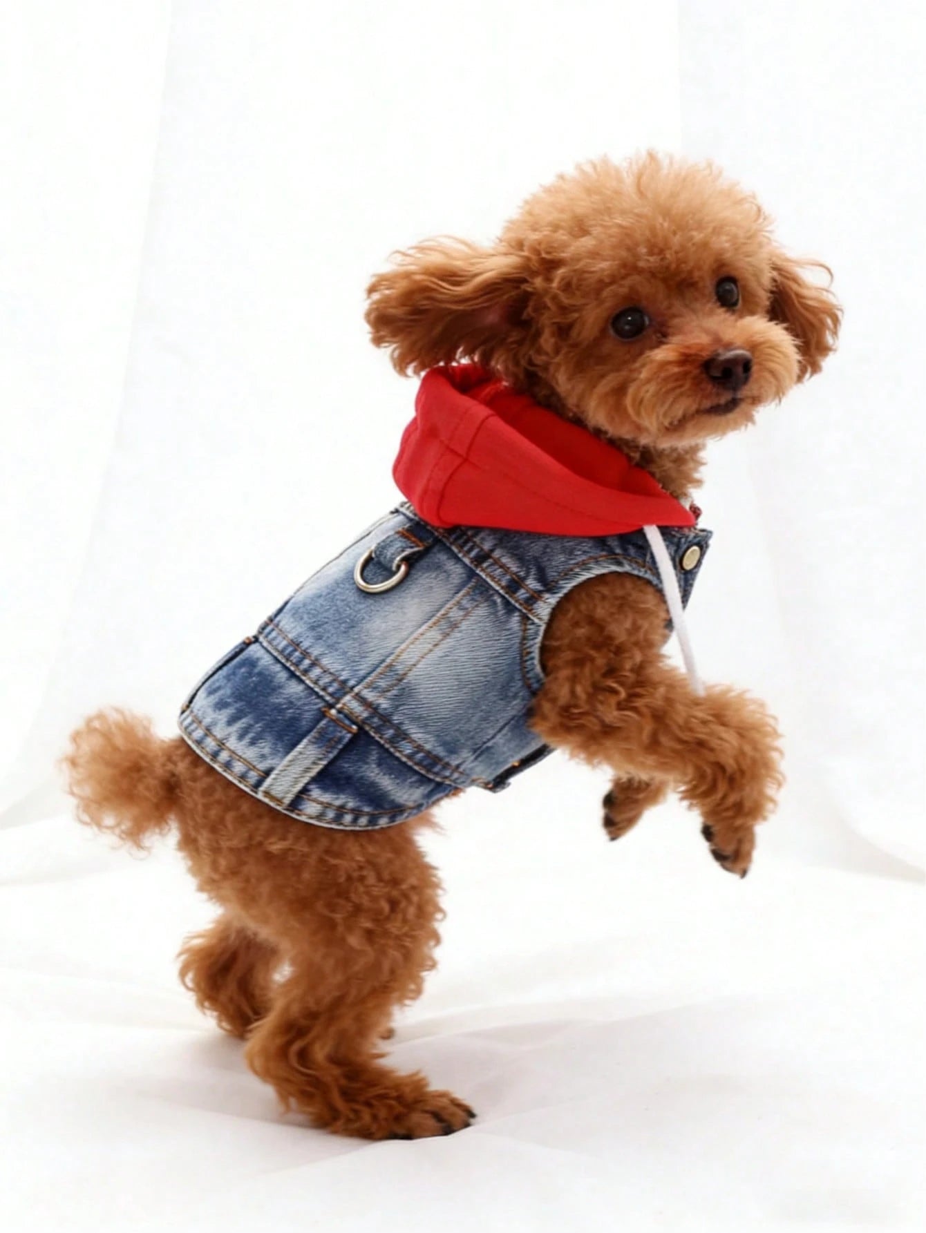 フード付きハーネスベスト 小型犬用（プードル・ビションフリーゼ・テディ対応） 春秋適用ペット服