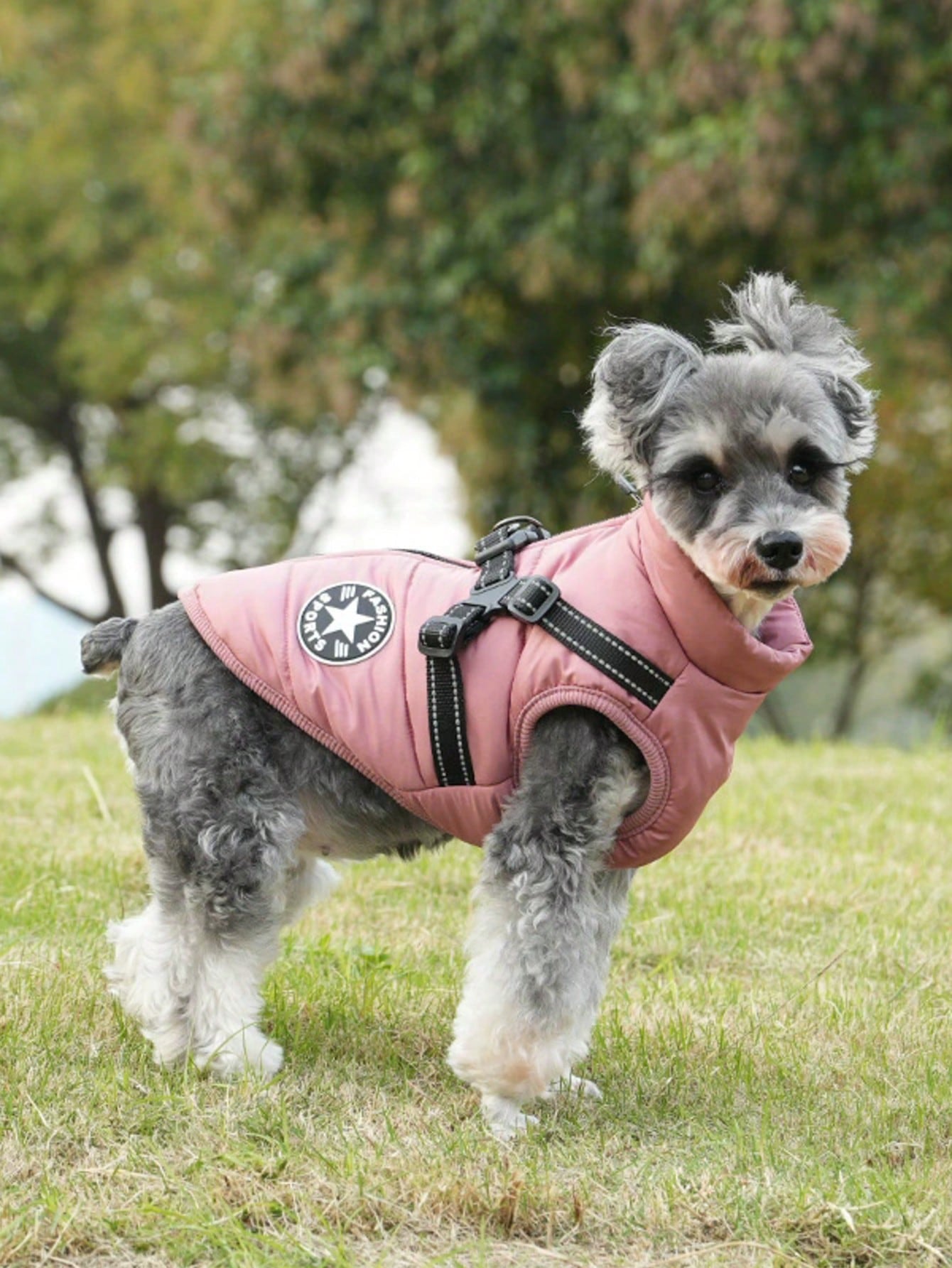 1個 犬用ハーネスベスト リード付き、防水 パッド入り 冬用ウォームアウトフィット