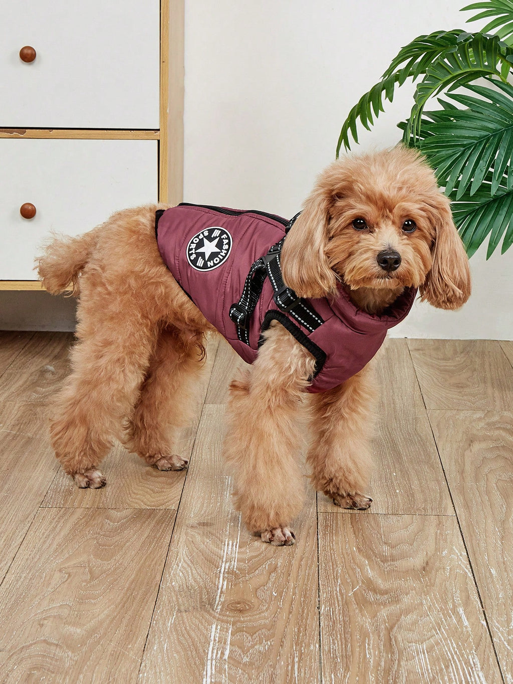 1個 犬用ハーネスベスト リード付き、防水 パッド入り 冬用ウォームアウトフィット