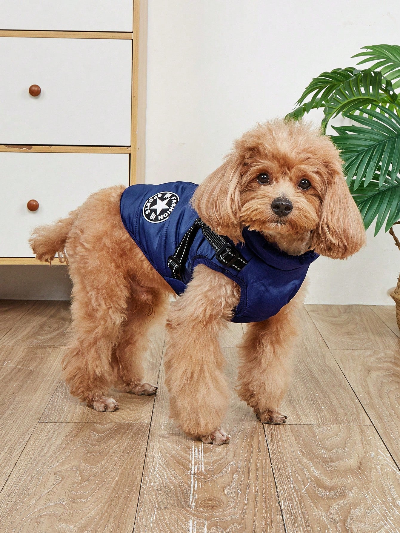 1個 犬用ハーネスベスト リード付き、防水 パッド入り 冬用ウォームアウトフィット