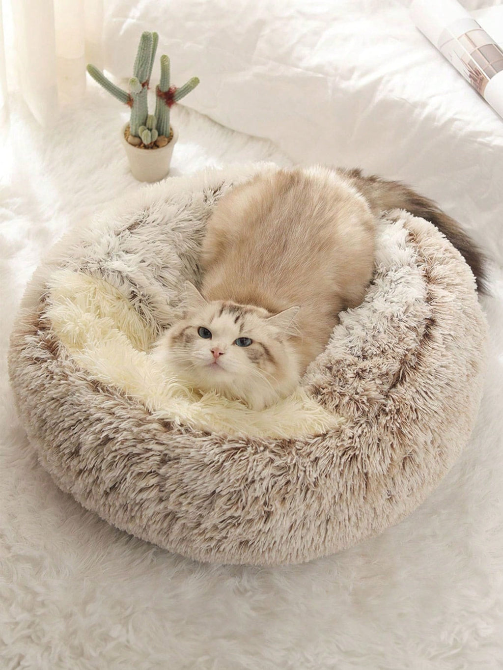 1個 ぬいぐるみ丸型ペットベッド、フワフワ ソフトキャットベッド、ドーナツ型ペットクッション、2in1冬用キャットベッド、暖かい寝袋ソファクッション