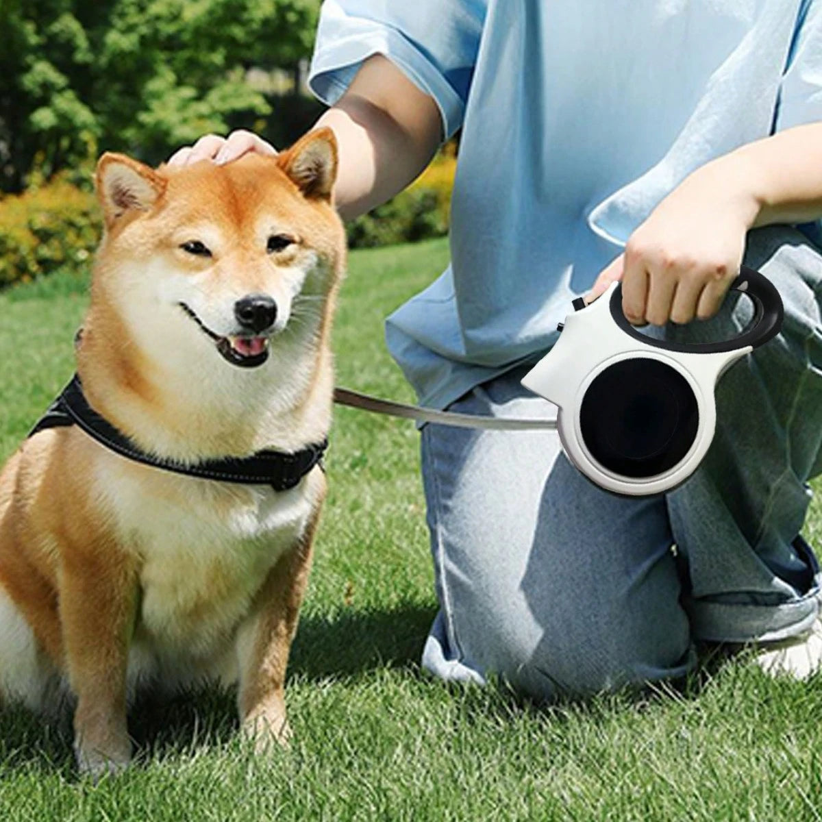 犬用自動巻き取り式リード Led ライト付き ナイロン製 5m 伸縮自在 最大 35kg 対応