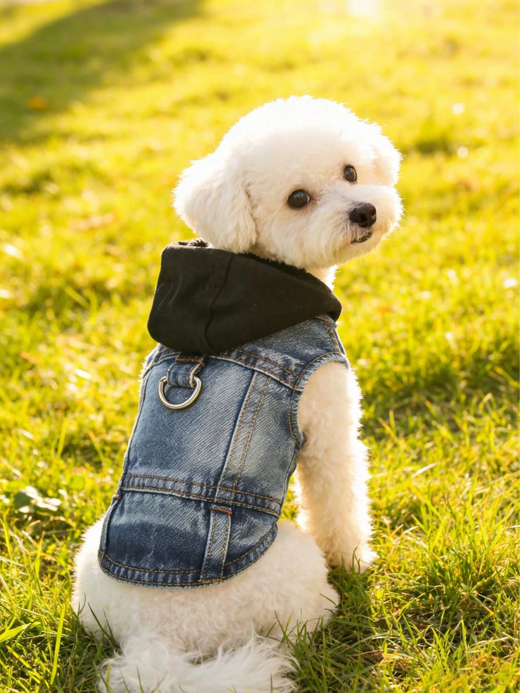 フード付きハーネスベスト 小型犬用（プードル・ビションフリーゼ・テディ対応） 春秋適用ペット服