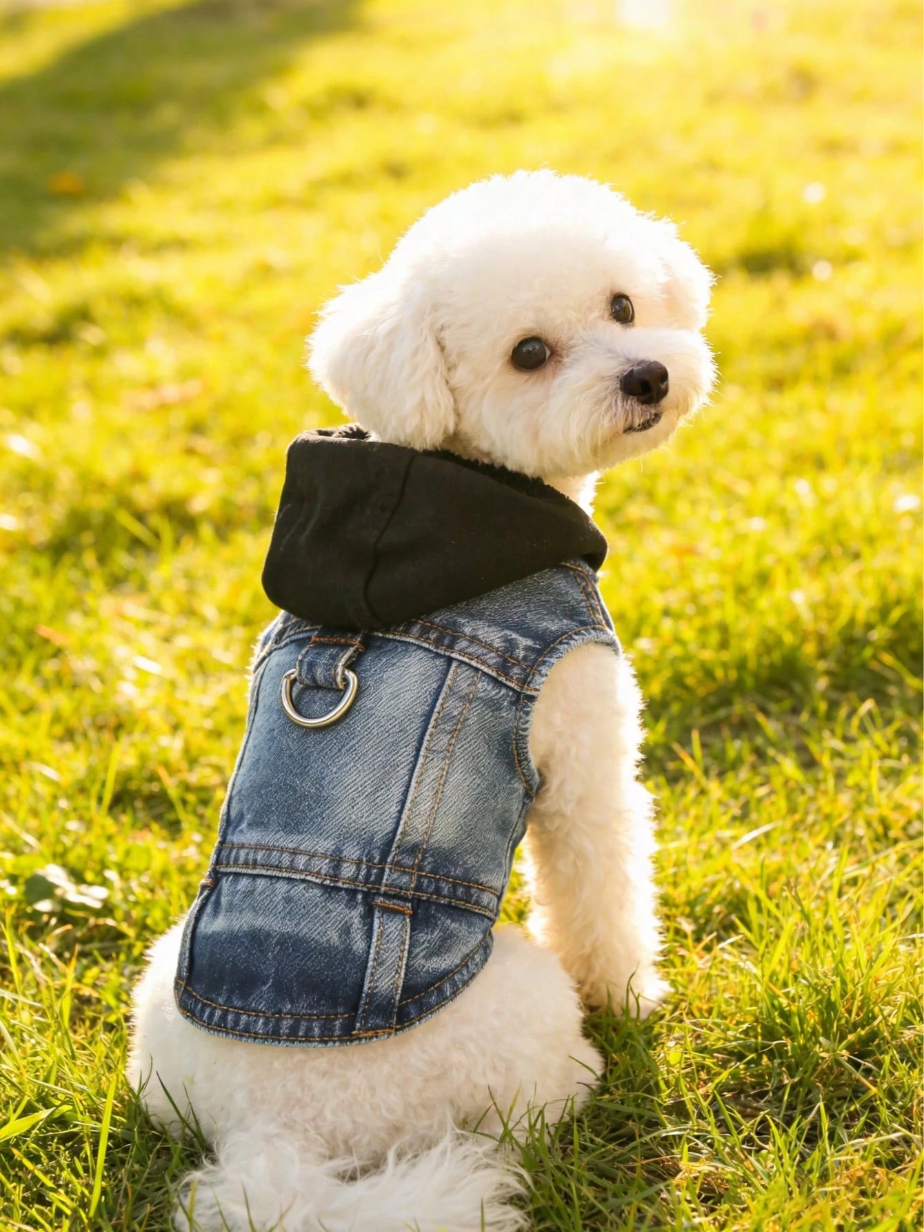 フード付きハーネスベスト 小型犬用（プードル・ビションフリーゼ・テディ対応） 春秋適用ペット服