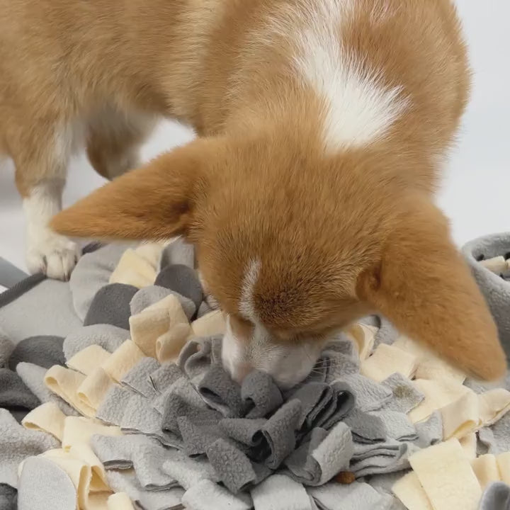 小型犬・中型犬向け 花形 ペット嗅覚マット、スローフィーディングトレーニングパッド、ノーズワークマットのインタラクティブな遊び